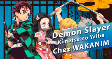 Demon Slayer : Kimetsu no Yaiba… ça va saigner en Avril chez WAKANIM