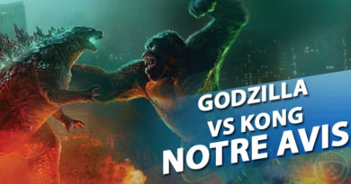 Godzilla vs. Kong : Mon Avis Godzilla vs. Kong : Mon Avis